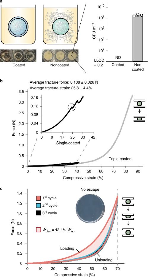 麻省理工學院趙選賀Nature子刊 基于細菌的水凝膠生物容器,可進行連續(xù)感測和計算